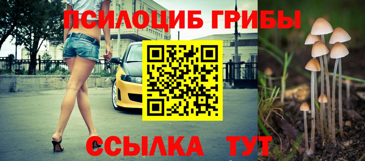 Псилоцибиновые грибы Magic Shrooms Каменск-Уральский