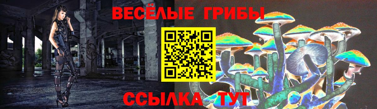 Псилоцибиновые грибы Psilocybine cubensis  Галлюциногенные грибы ЛСД  Вход с VPN  Каменск-Уральский 